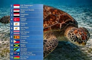 Gili Trawangan Dinobatkan Sebagai Destinasi Terbaik Dunia untuk Berenang 2026