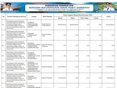 SINKRONISASI PROGRAM PRIORITAS NASIONAL DENGAN PROGRAM PRIORITAS PROVINSI TAHUN ANGGARAN 2026