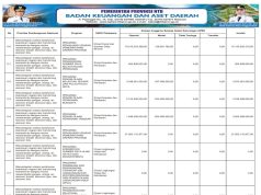 SINKRONISASI PROGRAM PRIORITAS NASIONAL DENGAN PROGRAM PRIORITAS PROVINSI TAHUN ANGGARAN 2026