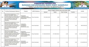 SINKRONISASI PROGRAM PRIORITAS NASIONAL DENGAN PROGRAM PRIORITAS PROVINSI TAHUN ANGGARAN 2026