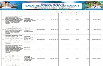 SINKRONISASI PROGRAM PRIORITAS NASIONAL DENGAN PROGRAM PRIORITAS PROVINSI TAHUN ANGGARAN 2026