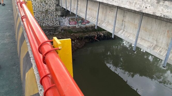 
					Seperti Adegan Film, Seorang Perempuan Nekat Berusaha Bunuh Diri di Jembatan Meninting