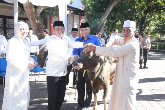
					Polda NTB Sembelih Ratusan Hewan Kurban