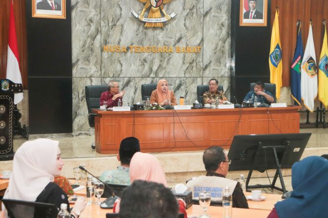 
					Pemprov Sumatera Selatan Studi Tiru Tata Kelola Izin Pertambangan Rakyat ke NTB