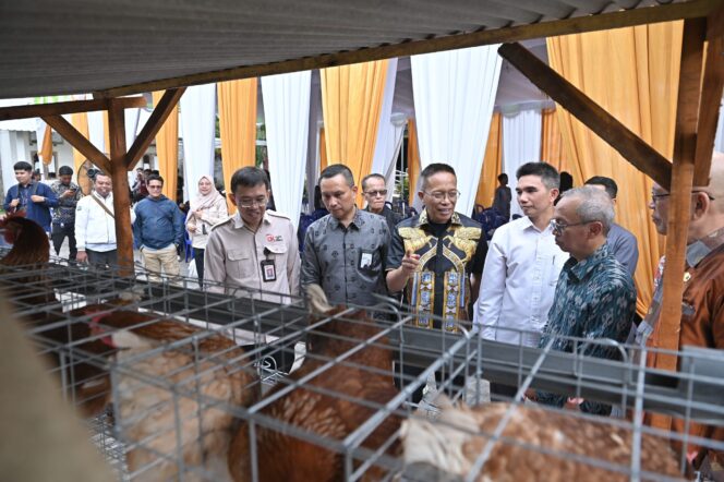
					Dukung Program Desa Berdaya, Bank NTB Syariah Salurkan Bantuan Budidaya Ayam Petelur untuk Masyarakat Desa Lendang Nangka Utara