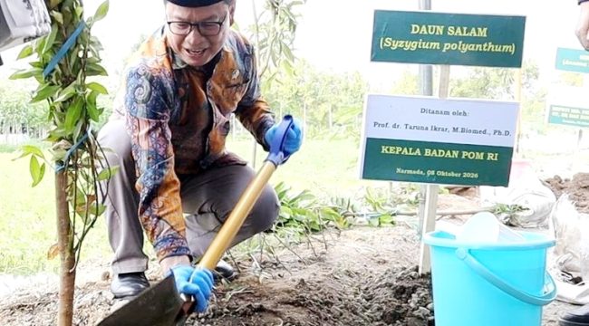 Prof. Dr. Taruna Ikrar, M. Biomed., Ph.D., Kepala Badan Pengawas Obat dan Makanan (BPOM) RI menanam bibit pohon di Pondok Pesantren Nurul Haramain NWDI Narmada, Lombok Barat. (Foto : Dok/Ist)