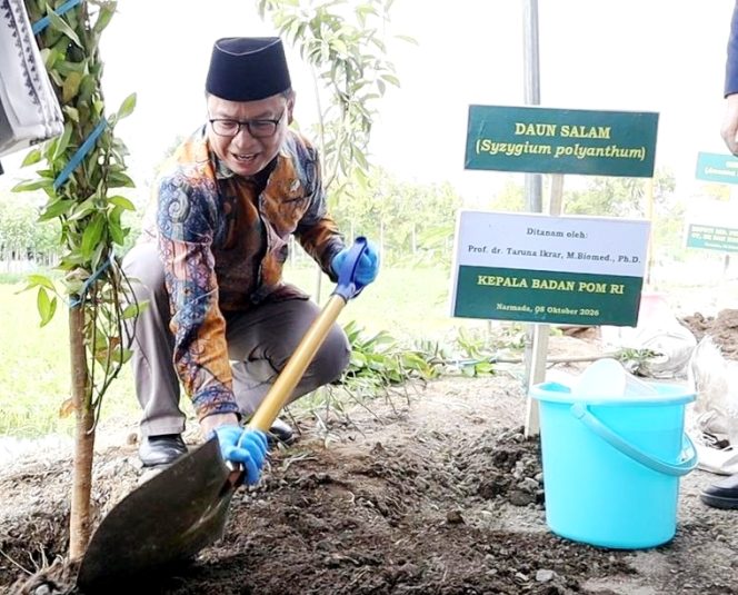 
					Prof. Dr. Taruna Ikrar, M. Biomed., Ph.D., Kepala Badan Pengawas Obat dan Makanan (BPOM) RI menanam bibit pohon di Pondok Pesantren Nurul Haramain NWDI Narmada, Lombok Barat. (Foto : Dok/Ist)