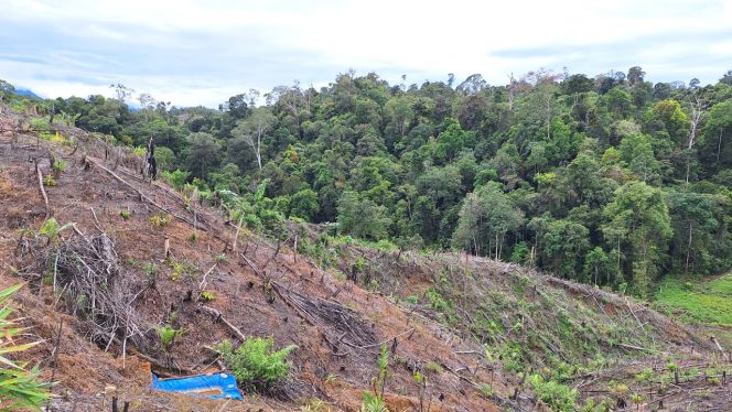 
					UU Pengaturan Reforma Agraria Buka Jalan Pemulihan Hak Masyarakat dalam Konflik Pertanahan